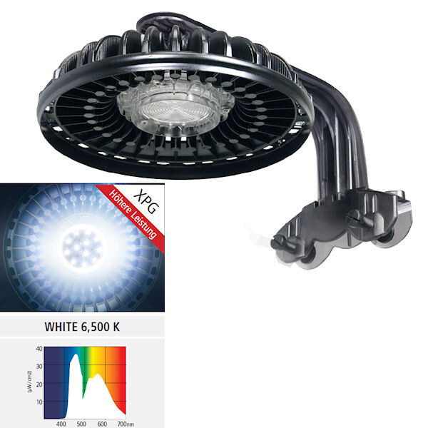 Arcadia Hochleistungs-LED-Spot Weiß XPG Eco Aqua 30 W