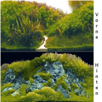 Hobby Fotorückwand Planted River - Green Rocks 100x50 cm
