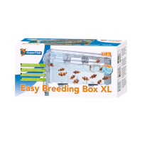 Superfish Easy Breeding Box (Aufzuchtbecken) XL