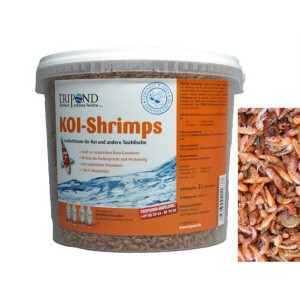 Tripond Koi-Shrimps Bachflohkrebse Premium Qualität 5 L