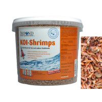 Tripond Koi-Shrimps Bachflohkrebse Premium Qualität 5 L